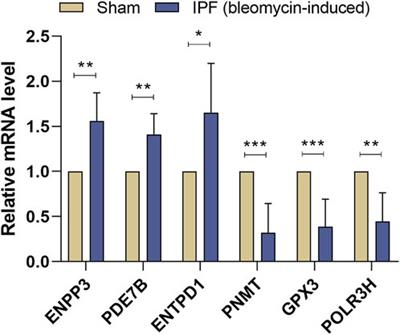 Identification and validation of metabolism-related hub genes in idiopathic pulmonary fibrosis